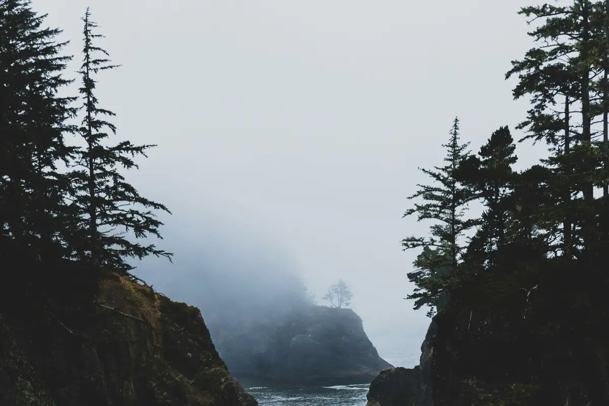 Test 'zimnego telefonu' na rozmowie